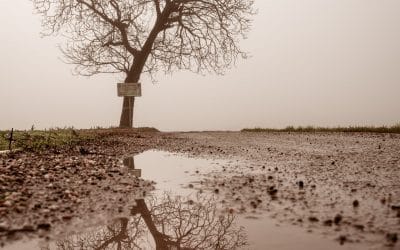 John Bunyan: christen in het moeras ‘moedeloosheid’