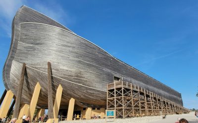 God, Noach en de ark