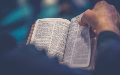 William Cowper: Een luister straalt van ’t Bijbelblad